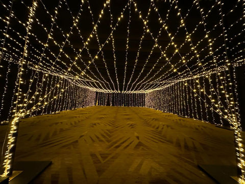 Cielo de luces
