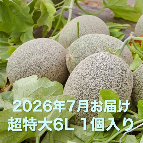 2026年7月予約】栄木農園の雲仙グリーンメロン ＜特大玉6Lサイズ＞1