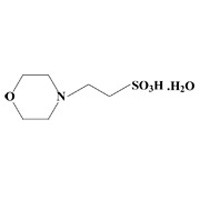 MES-H | Recenttec
