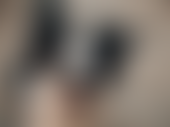 Turkey Tail for Dogs: What It Is, Why Vets Are Paying Attention, and How to Use It Safely