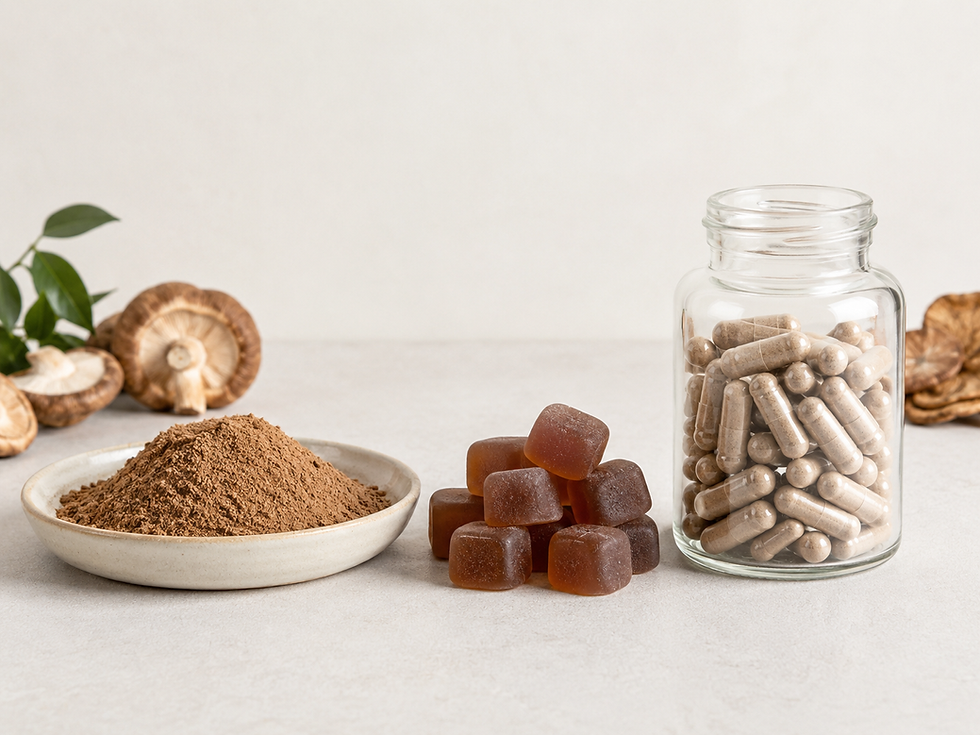 Mushroom Tincture vs Powder vs Gummies: What’s the Difference?