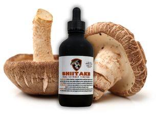 Shiitake Tincture Benefits — Immune Support & Heart Health from Homegrown Dual Extract Quality