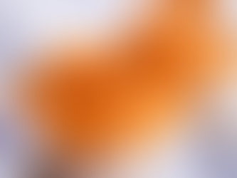 What Are Functional Mushrooms?A Newcomer’s Guide to Medicinal Fungi