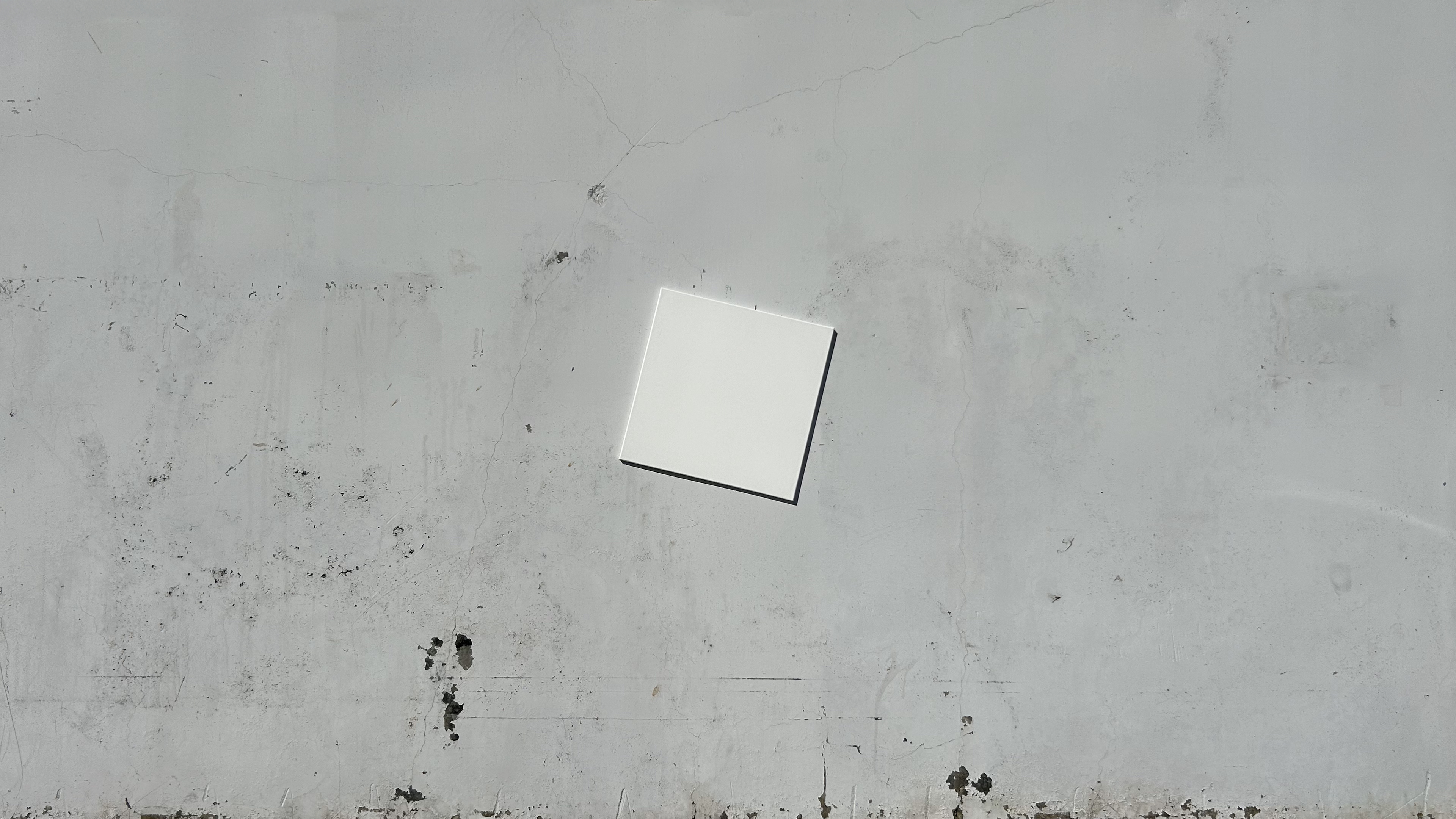 白上白（马列维奇之后）