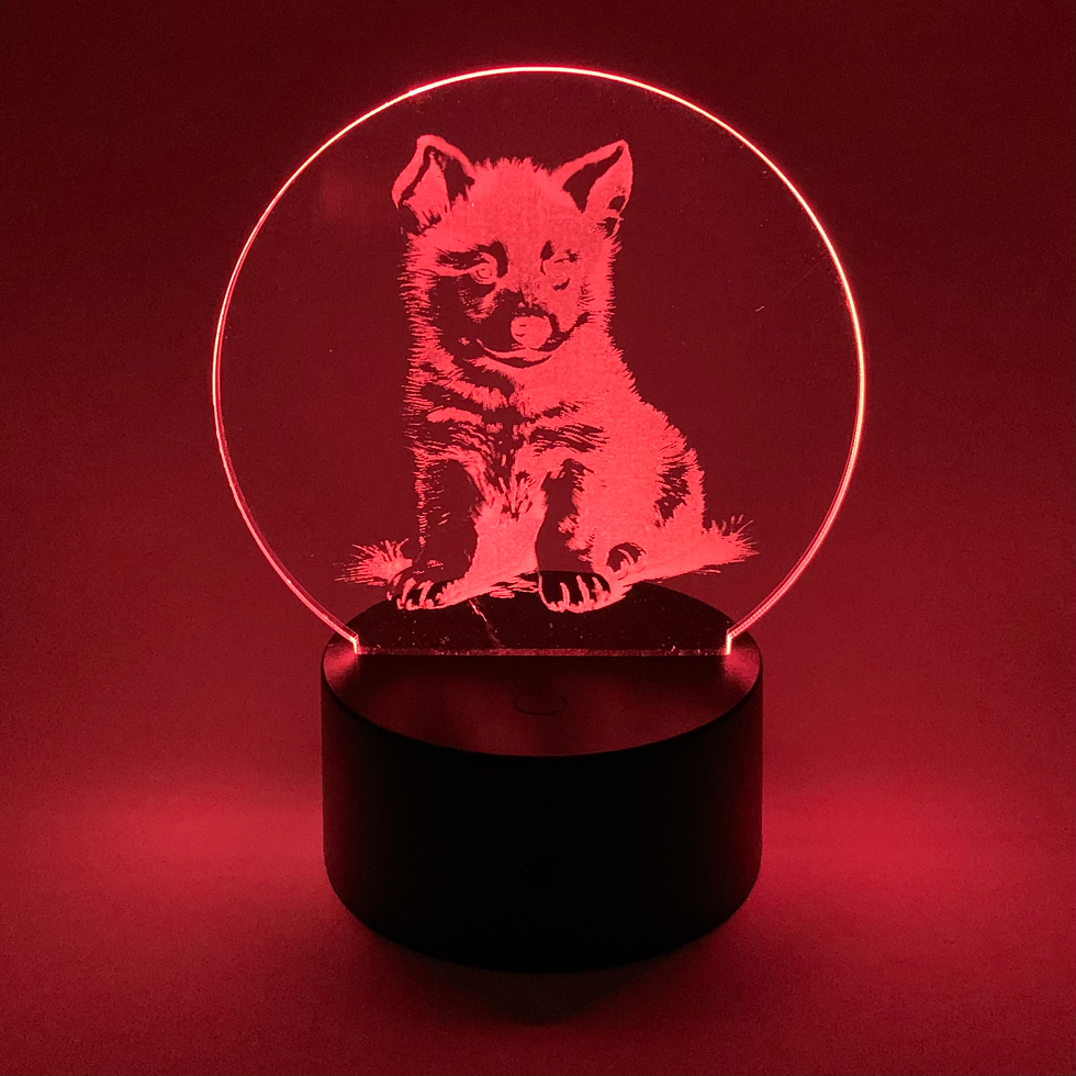 Miniatura: LUPETTO ILLUMINATO