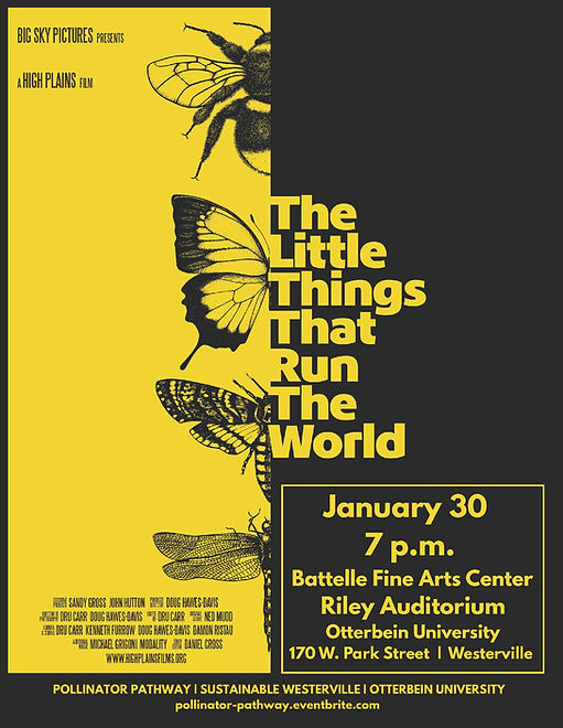 Documentary flyer (1) (1).jpg