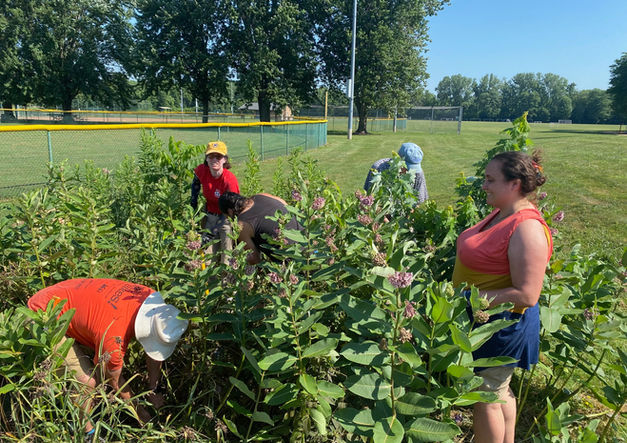 Volunteers revitalize a rain garden and pocket prairie at Mingo Park on July 12, 2025. 