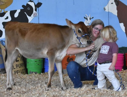 Screenshot 2025-07-14 113355