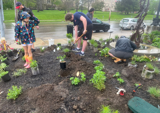 Ross Art Museum Pollinator Habitat