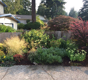 Boyle side yard 2.jpeg