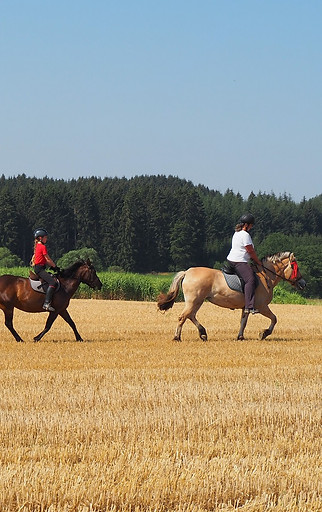 Ausreiten Geländeritt Eifel Ferienhof Feinen Fleringen Urlaub auf dem Bauernhof Reiturlaub Familienurlaub mit Kindern
