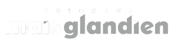 PNG Logo - Mais Glandien klein w.png