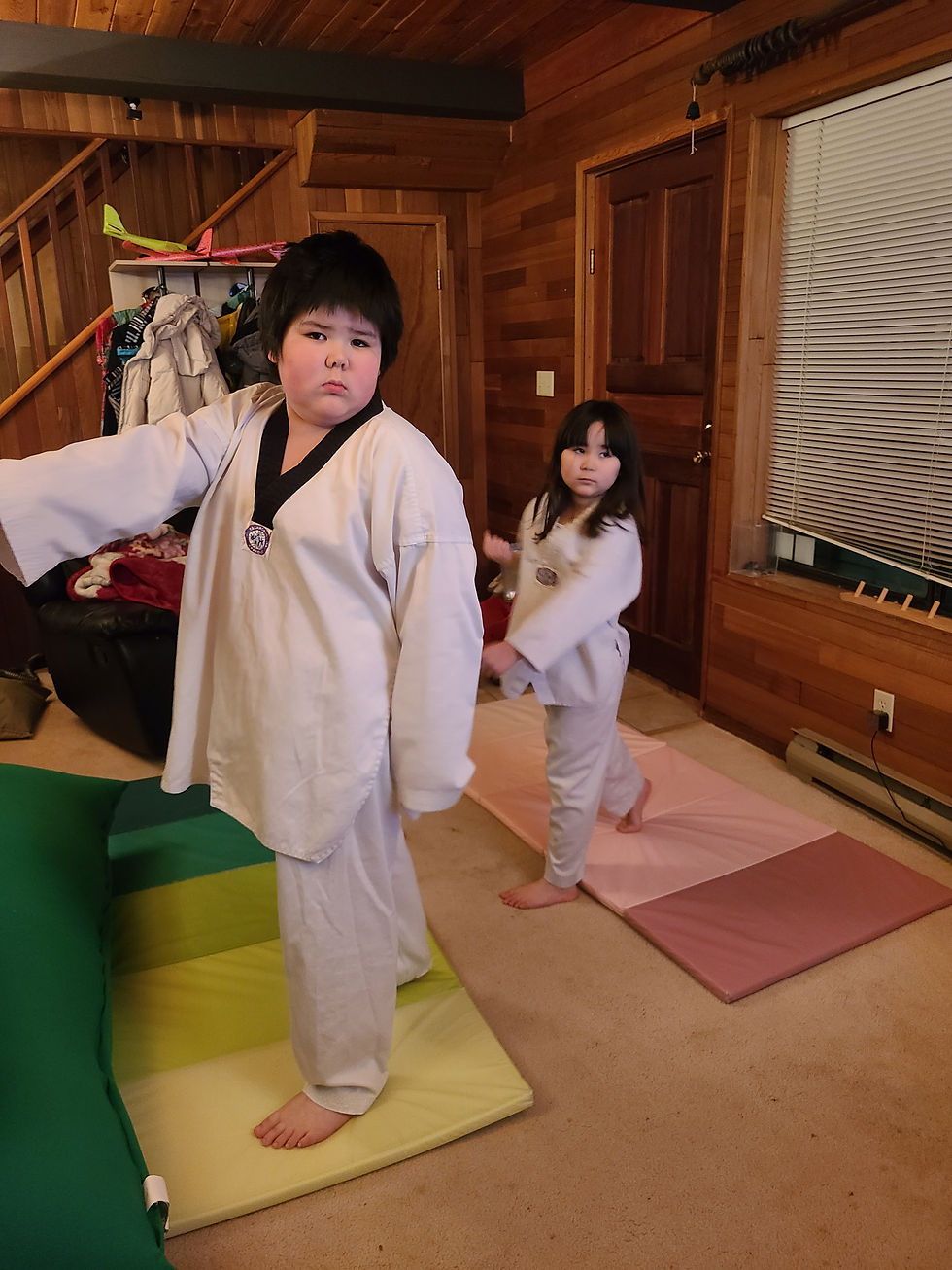 taekwondo