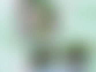 「川柳と万華鏡」第3回|会員発プロジェクト