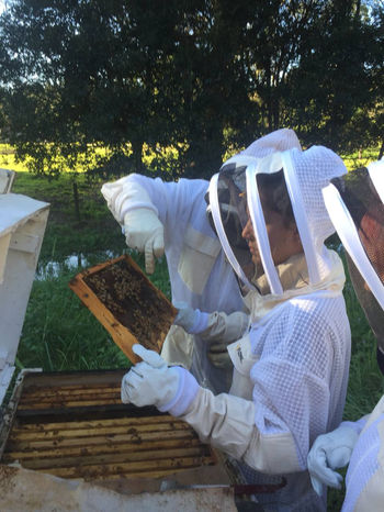 June Bees Workshop.jpeg