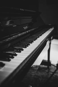 AAO_1215.jpg