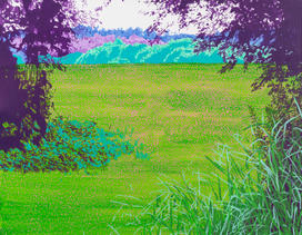 11 Pļavas Gars 88x 116cm .jpeg