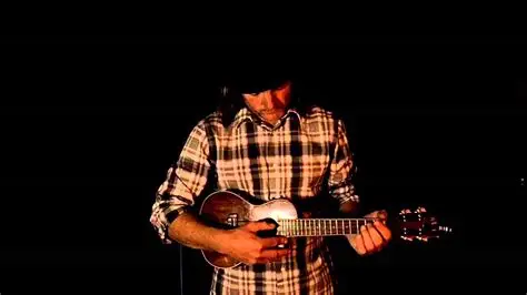 Follow the Dolphin  (FREE EVENT)