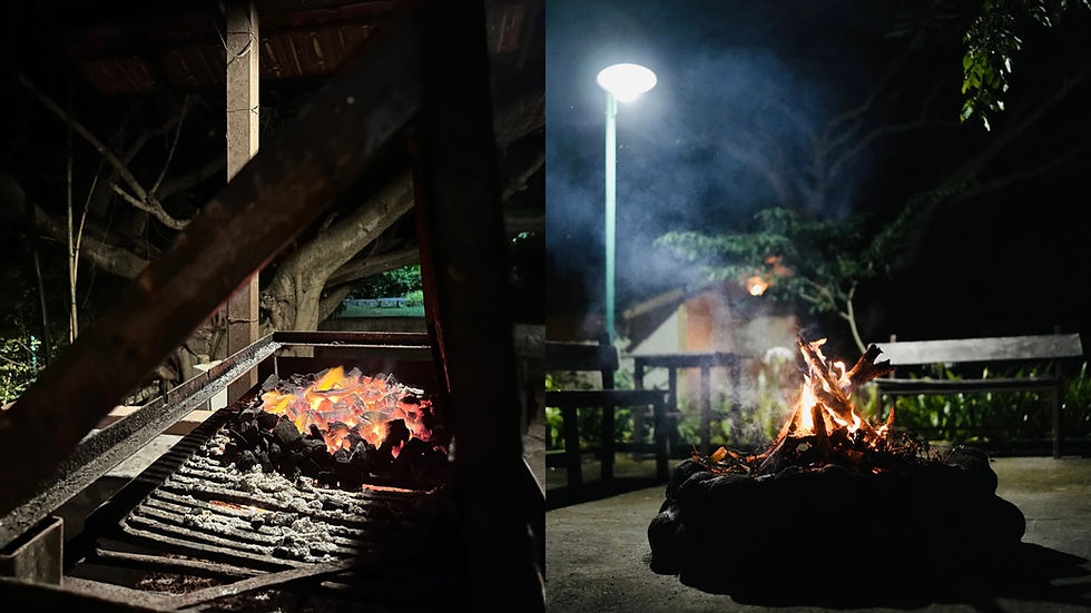 barbeque and campfire .jpg