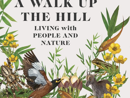 Where Forests and Futures Meet- 'A Walk Up The Hill: Living With People And Nature': Book Review