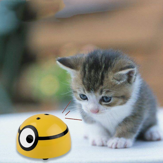 ree