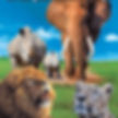 Le Zoo d'Amnéville
