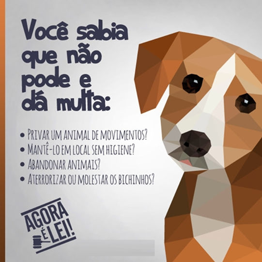 animais.jpg