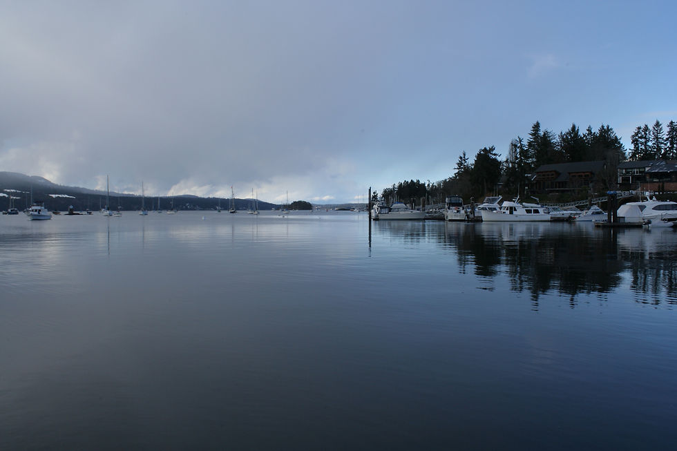 An image of Brentwood Bay on a winters day