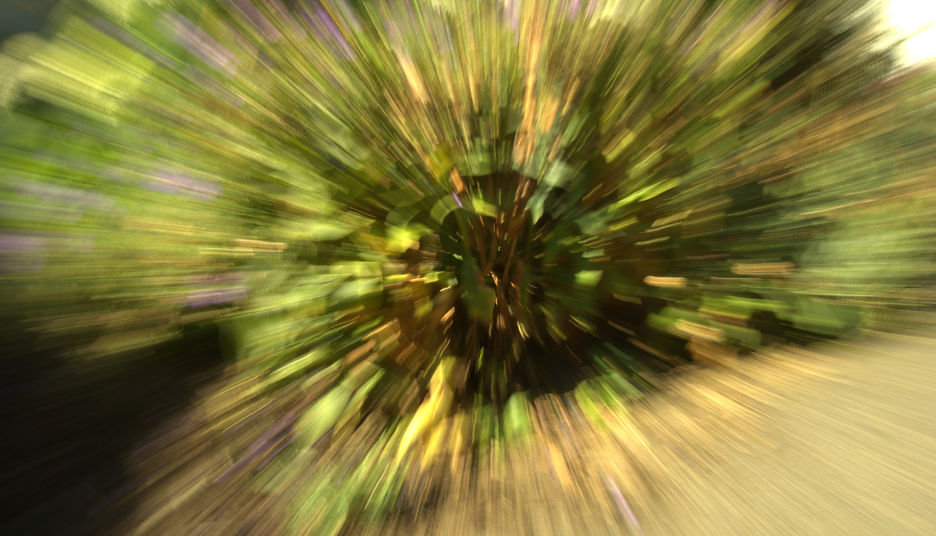 Telephoto zoom lens abstract 2