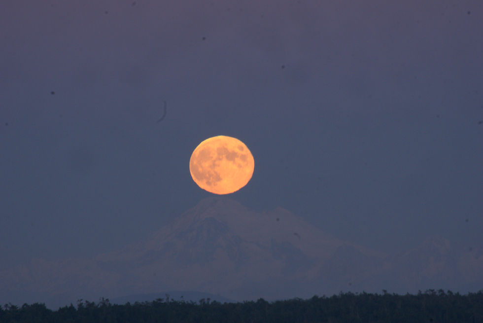 A photograph of the rising orange moon over Mount Baker Washington Stae from Victoria BC