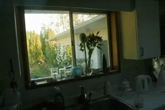  An image of a  vase   on a window sill