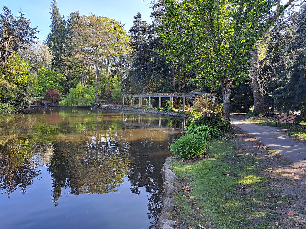 A photograph taken in Beacon Hill Park Victoria BC