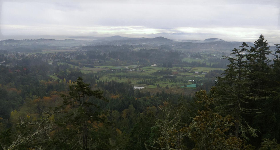 A landscape photograph looking towards Victoria BC  from Central Saanich