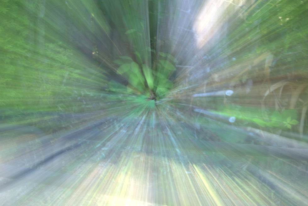 an abstract photograph using the Zoom technique