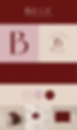 MERKONTWERP - BILLIE (1).png