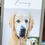 Thumbnail: Pet Potrait