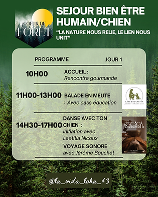 Vert Simple Conseils bien-être Publication Instagram (11).png