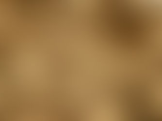 Nachhaltige Architektur: Zukunftsfähiges Bauen mit biobasierten Baustoffen