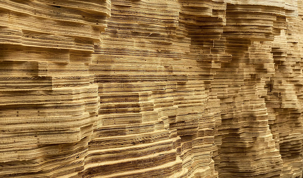 Architektur & Raumakustik verstehen – Warum gutes Hören gutes Bauen bedeutet | SPACE BO Campus