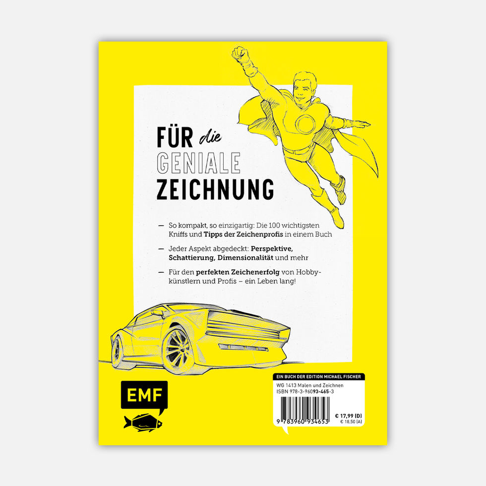 Die Rückseite des Zeichenbuchs mit einem Klappentext, der die 100 besten Profi-Tricks für kreative Erfolge verspricht