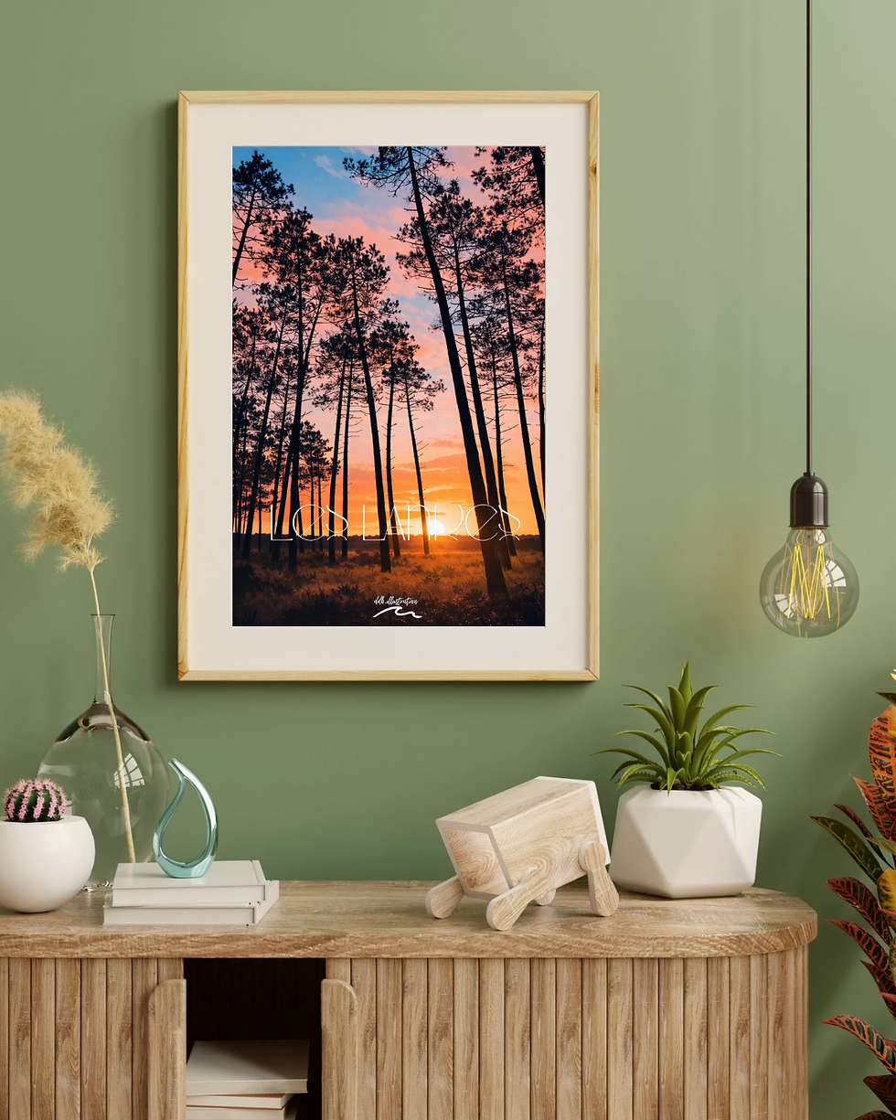 Illustration locale représentant un paysage landais avec forêt de pins des Landes au coucher de soleil