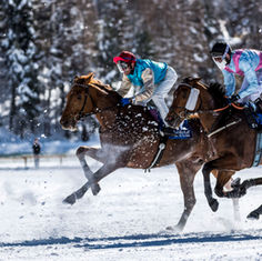 Sandra Risi, Photographer, Photography, Fotograf, Fotografin, Foto, Switzerland, White Turf, Winter, Horse Race