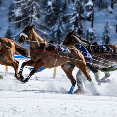 Sandra Risi, Photographer, Photography, Fotograf, Fotografin, Foto, Switzerland, White Turf, Winter, Horse Race