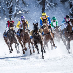 Sandra Risi, Photographer, Photography, Fotograf, Fotografin, Foto, Switzerland, White Turf, Winter, Horse Race