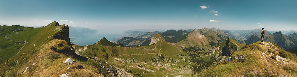 iStock-1210223881.jpg