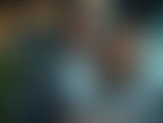 The Role of an Insolvency Practitioner  in South Africa