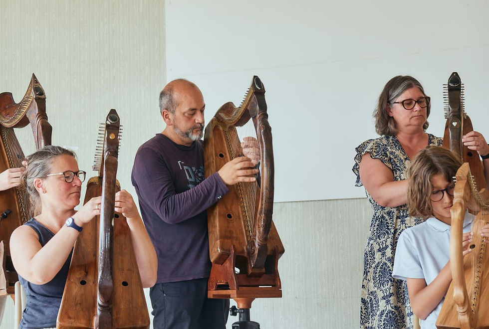 Stages de harpe mensuels
