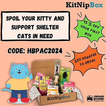 KitNip Box .jpg