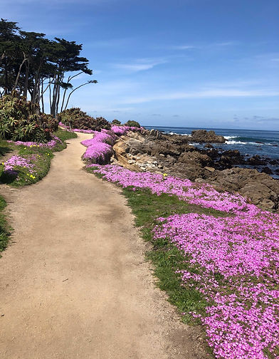 DFFLowerPath03.jpg