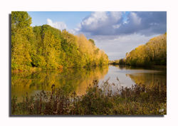 L'Automne est c'est belles couleurs